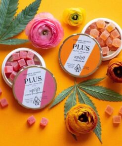 PLUS Uplift Sour Watermelon Gummies (100mg)