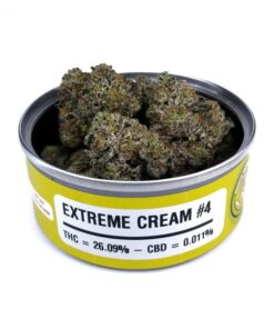 Buy Extreme Cream Strain