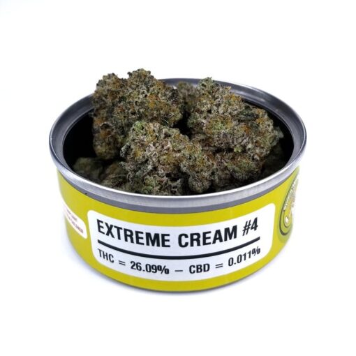 Buy Extreme Cream Strain