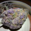 Grand Daddy Purple