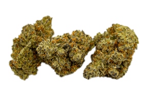 indica cannabis wee strain