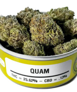 Quam Weed Strain